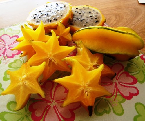  Auf nach Südamerika!