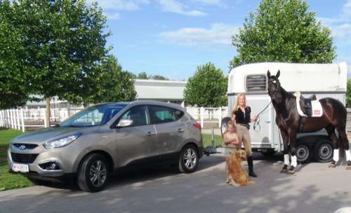  Für Tochter, Pferd und Hund