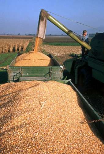  „Das Thema weiter verfolgen“