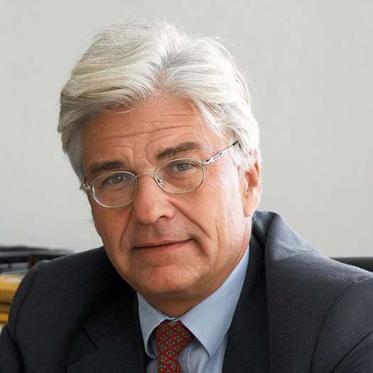  Forstinger: Aufsichtsrat Themmer relativiert Format-Online-Bericht