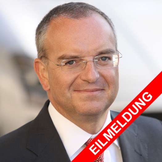  Daimler übernimmt kompletten Mercedes-Import