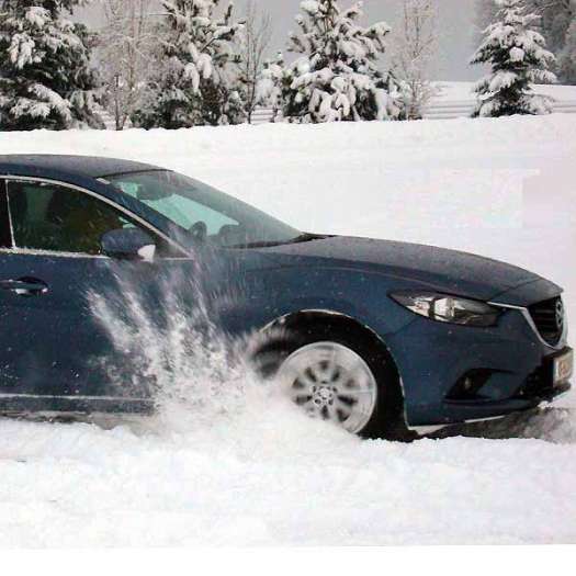  Adriatief ist Umsatzturbo