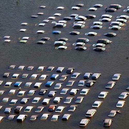  Ein Phönix aus der Asche