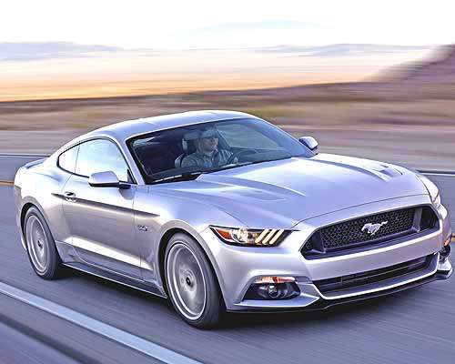  Wildpferde in Klagenfurt