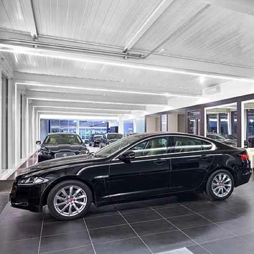  Neues Raubkatzen-Gehege