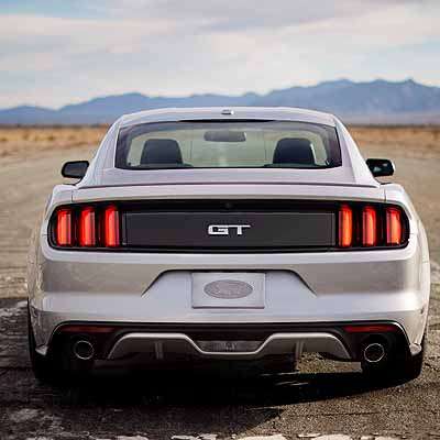  Wildpferde galoppieren nach Österreich