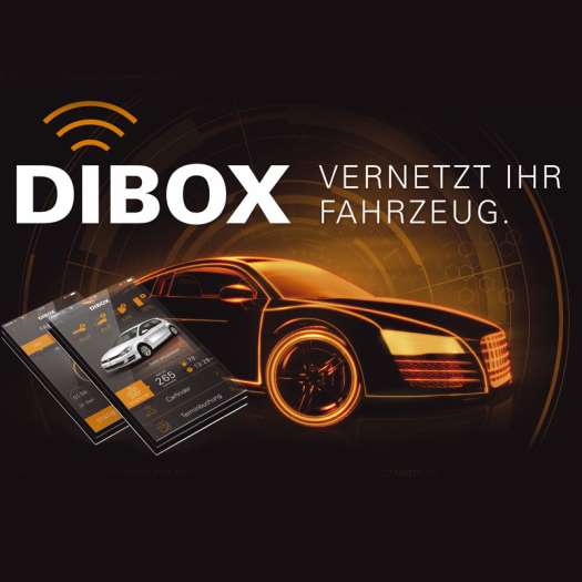 DiBox kommt in den Handel