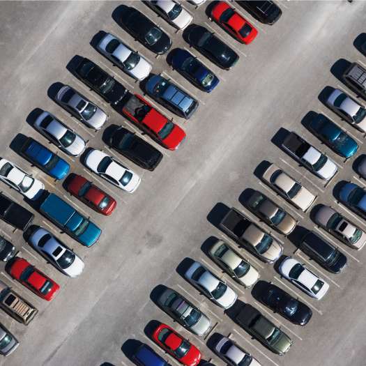  Die Insel der Unseligen