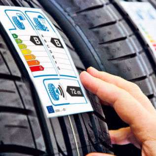  Wahrheitsliebe ist straffrei