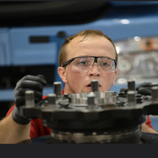  Die Besten aus Österreich