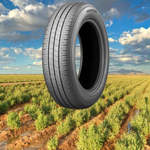  Auf der Suche nach der Kautschuk-Alternative