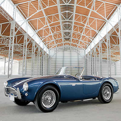  1 Million für seltene Cobra