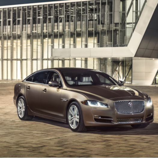  Die Raubkatze wird noch schärfer