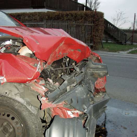  Jung, wild und unvorsichtig