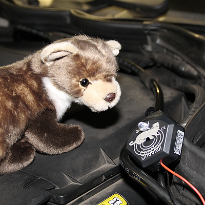  Wirksamer Schutz gegen kleine „Beißer“