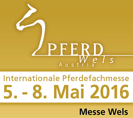  4wd auf der „Pferd Wels“