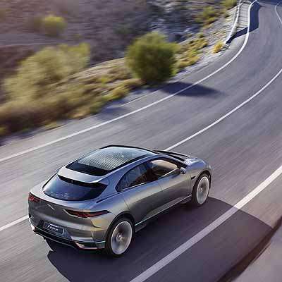  Elektrisierende Raubkatze