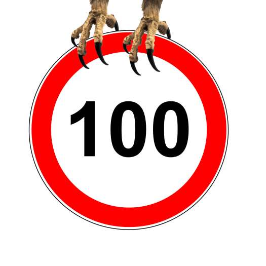  Tiroler Adler zeigen Krallen