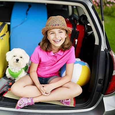   Klimacheck bringt Umsatz