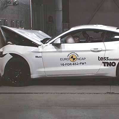  Nur 3 Sterne für Wildpferd