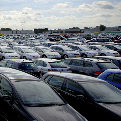  Knapp 18.000 Stück über dem Vorjahr