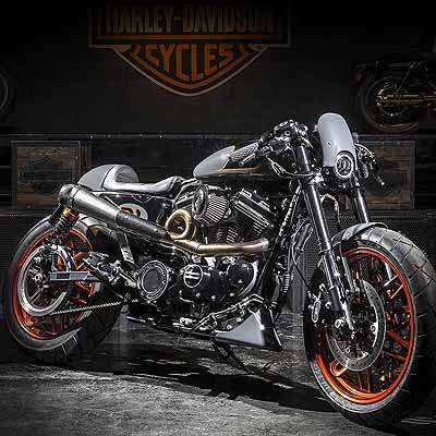  So sieht der Sieger aus