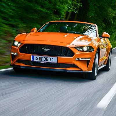  10 Millionen Wildpferde