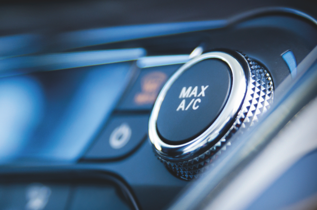  Zukunftssichere Ertragsbringer