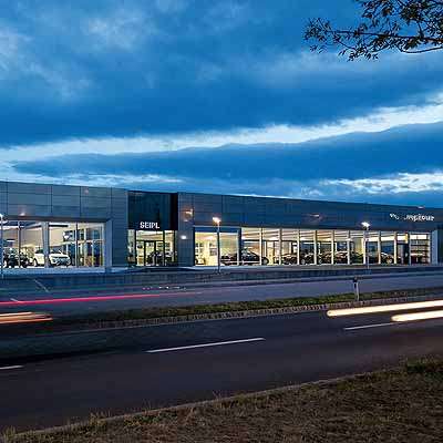  Der Raubkatze schönstes Haus