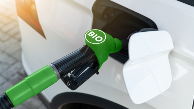 Biodiesel als Beitrag zur Energiewende