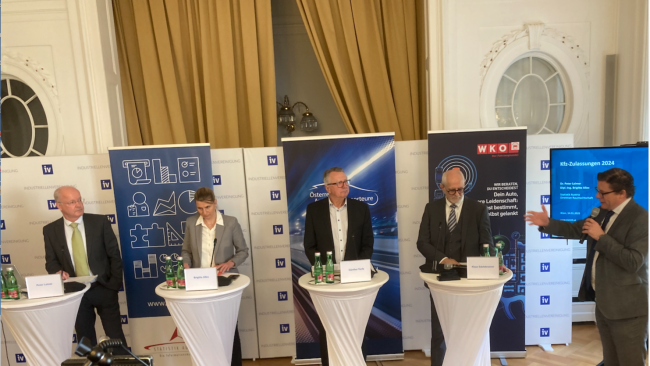  Pkw-Neuzulassungen im Jahr 2024: Höchster Stand seit 2019