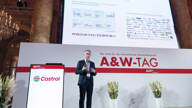         Hase und Igel unter Strom