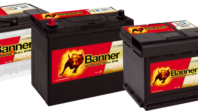  Das Sortiment wächst