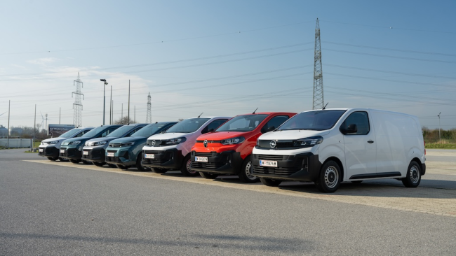  Stellantis: das spezialisierte Dutzend