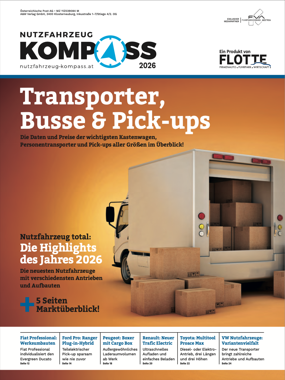 Nutzfahrzeug-Kompass